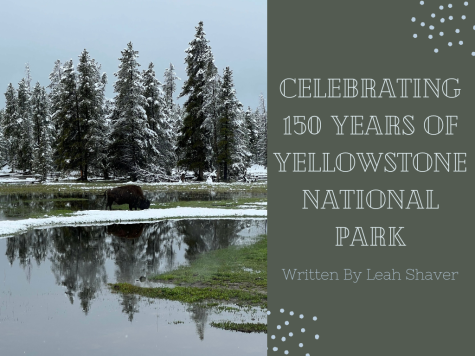 Celebrating 150 Years of Yellowstone