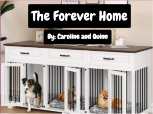 The Forever Home. A story about two girls on an adventure. This is an interactive story. 