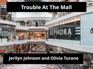 Trouble At The Mall by Jerilyn Johnson and Olivia Turano